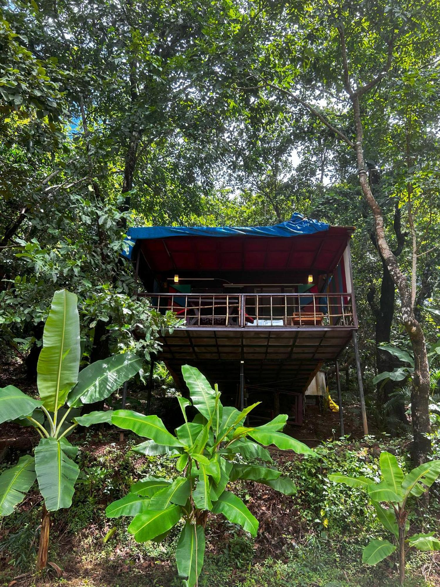 Samyama Retreat Hotel Cola Exterior foto